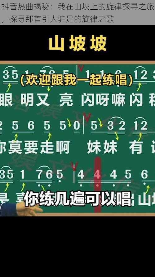 抖音热曲揭秘：我在山坡上的旋律探寻之旅，探寻那首引人驻足的旋律之歌