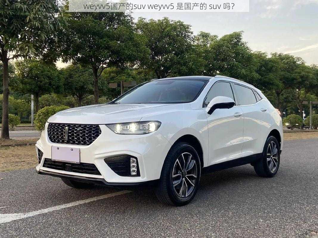 weyvv5国产的suv weyvv5 是国产的 suv 吗？