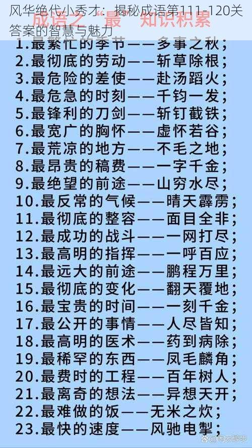 风华绝代小秀才：揭秘成语第111-120关答案的智慧与魅力