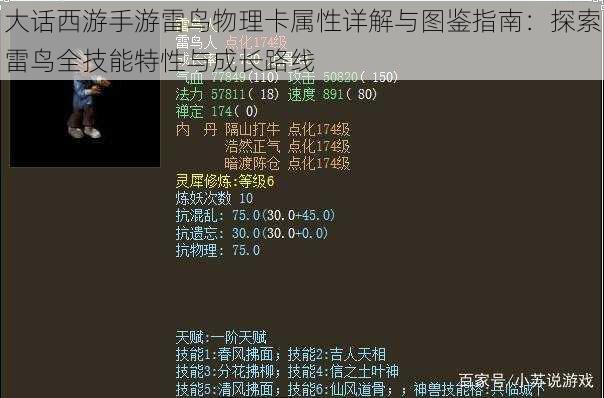 大话西游手游雷鸟物理卡属性详解与图鉴指南：探索雷鸟全技能特性与成长路线