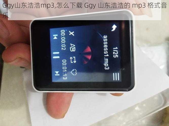 Ggy山东浩浩mp3,怎么下载 Ggy 山东浩浩的 mp3 格式音乐