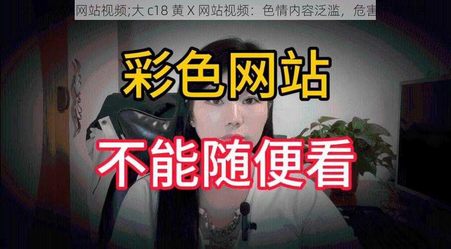 大c18黄X网站视频;大 c18 黄 X 网站视频：色情内容泛滥，危害不容忽视