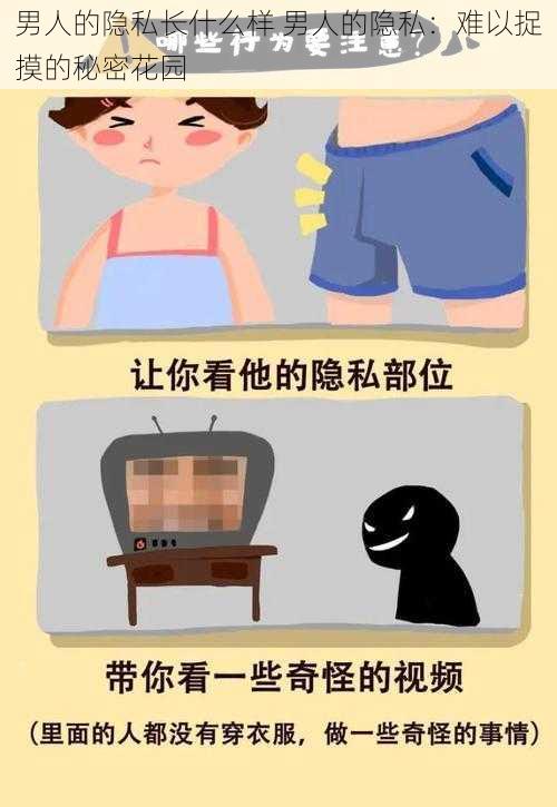 男人的隐私长什么样 男人的隐私：难以捉摸的秘密花园