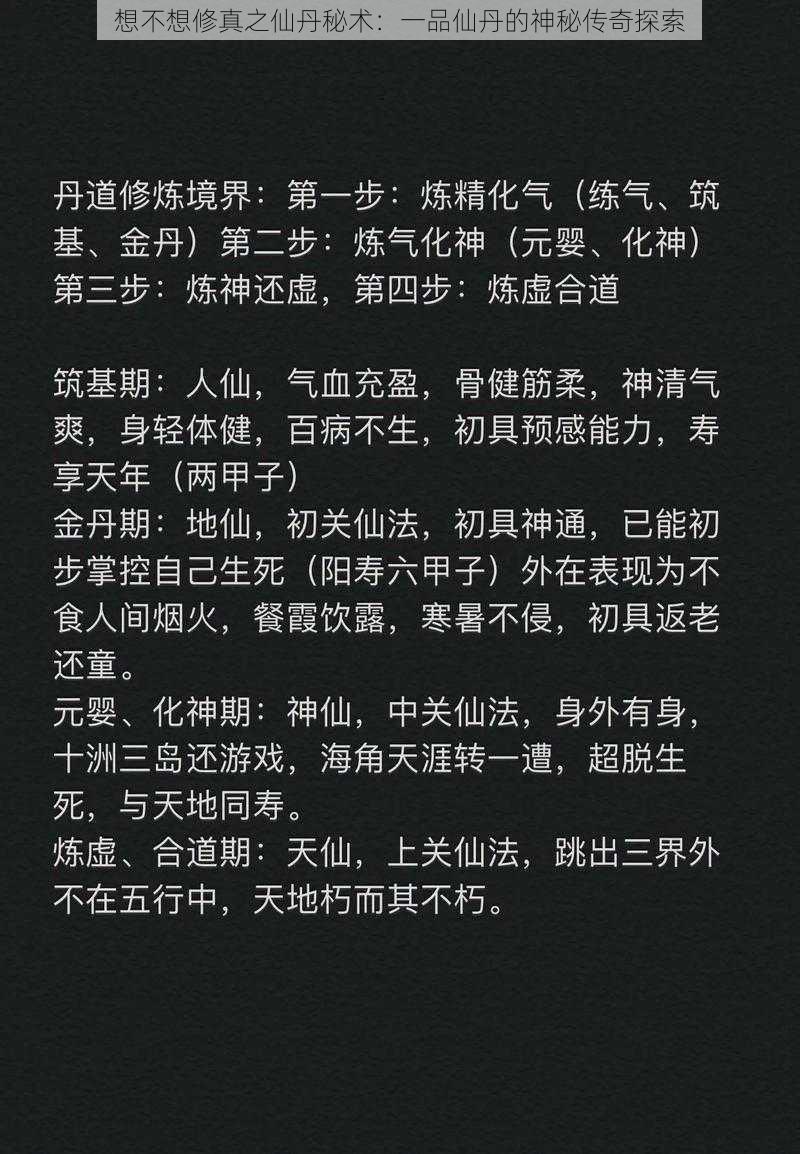 想不想修真之仙丹秘术：一品仙丹的神秘传奇探索