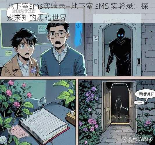 地下室sms实验录—地下室 sMS 实验录：探索未知的黑暗世界