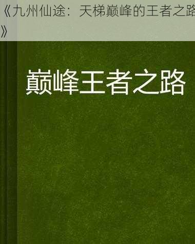 《九州仙途：天梯巅峰的王者之路》