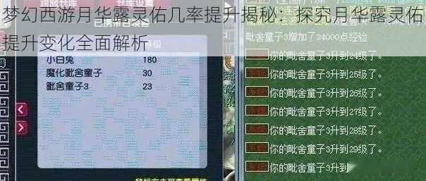 梦幻西游月华露灵佑几率提升揭秘：探究月华露灵佑提升变化全面解析