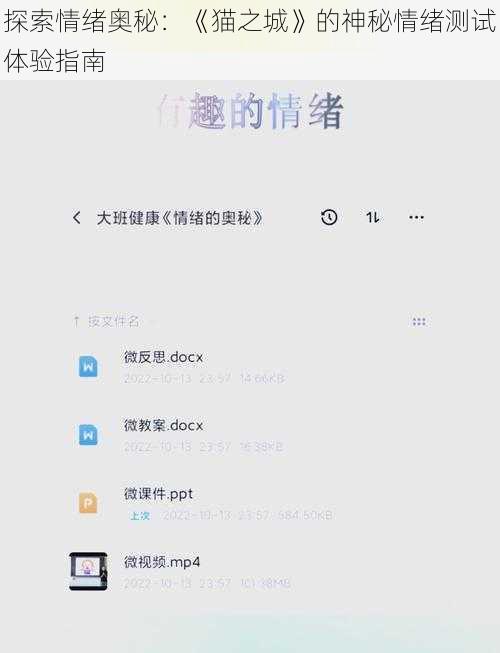探索情绪奥秘：《猫之城》的神秘情绪测试体验指南