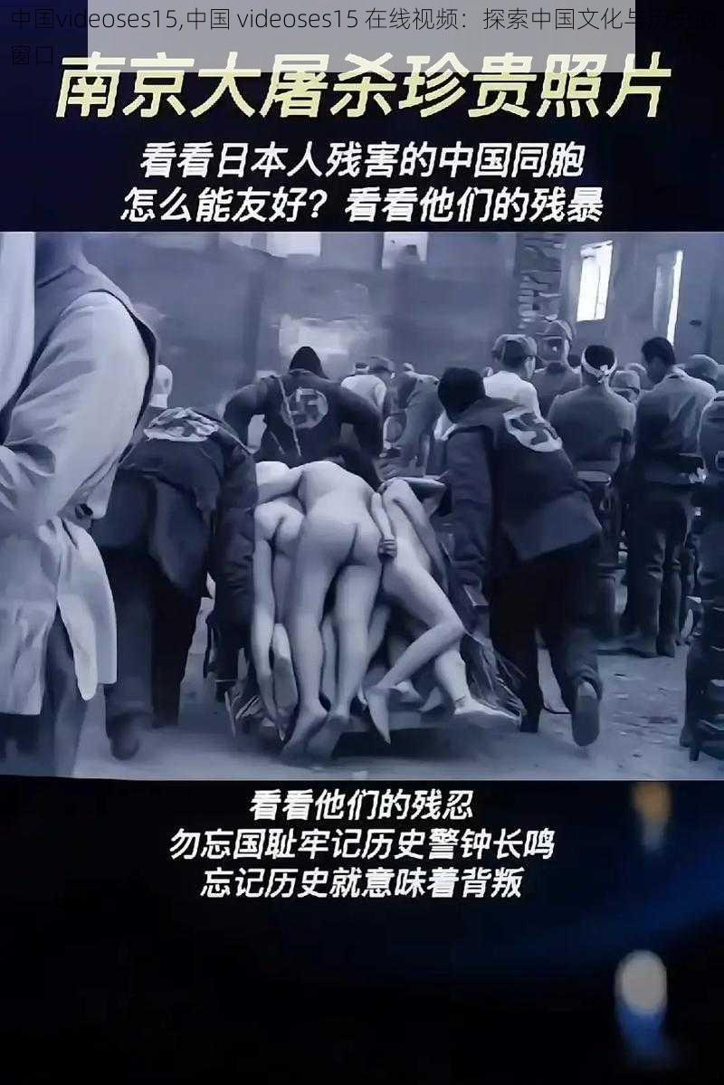 中国videoses15,中国 videoses15 在线视频：探索中国文化与历史的窗口