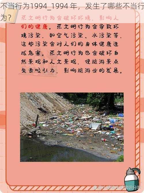 不当行为1994_1994 年，发生了哪些不当行为？