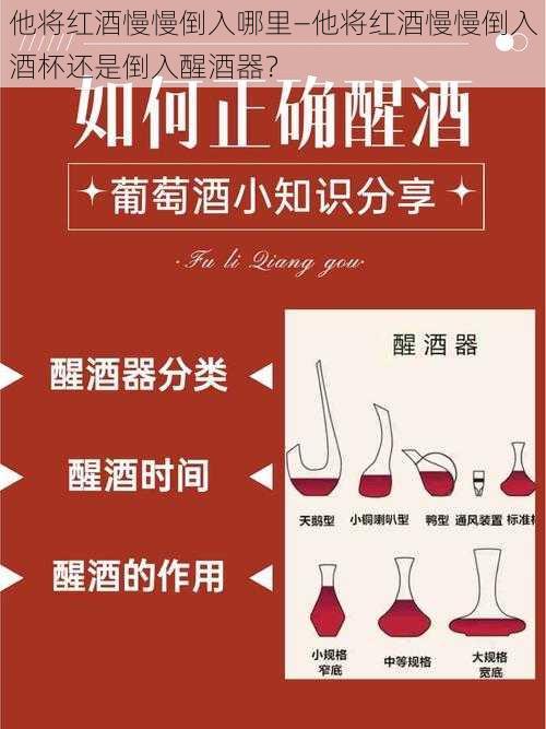 他将红酒慢慢倒入哪里—他将红酒慢慢倒入酒杯还是倒入醒酒器？