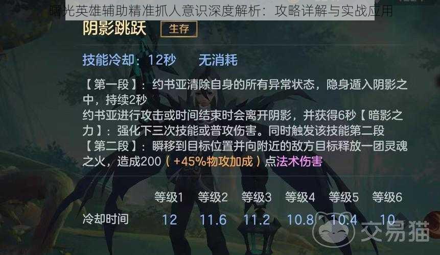 曙光英雄辅助精准抓人意识深度解析：攻略详解与实战应用