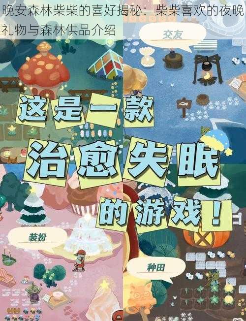 晚安森林柴柴的喜好揭秘：柴柴喜欢的夜晚礼物与森林供品介绍