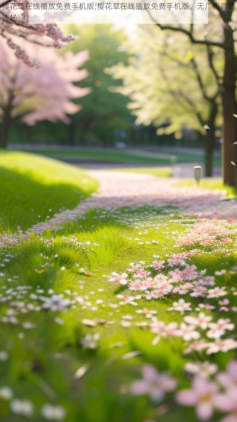 樱花草在线播放免费手机版;樱花草在线播放免费手机版，无广告高清流畅