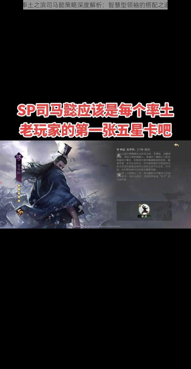 率土之滨司马懿策略深度解析：智慧型领袖的搭配之道