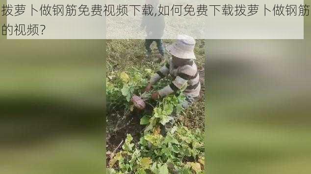 拨萝卜做钢筋免费视频下载,如何免费下载拨萝卜做钢筋的视频？