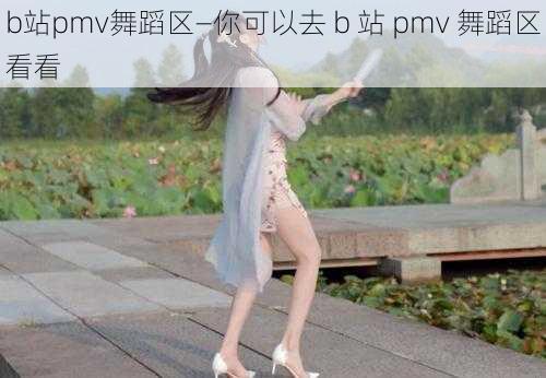 b站pmv舞蹈区—你可以去 b 站 pmv 舞蹈区看看