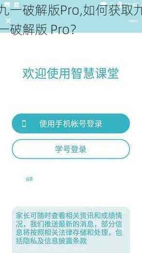 九一破解版Pro,如何获取九一破解版 Pro？