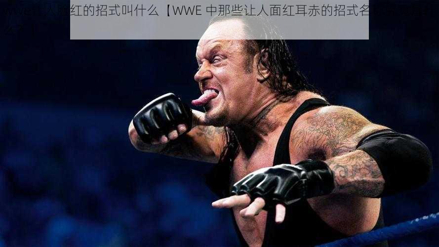 wwe让人脸红的招式叫什么【WWE 中那些让人面红耳赤的招式名称究竟是什么？】