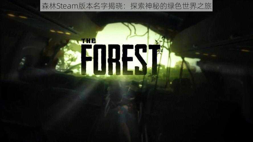 森林Steam版本名字揭晓：探索神秘的绿色世界之旅