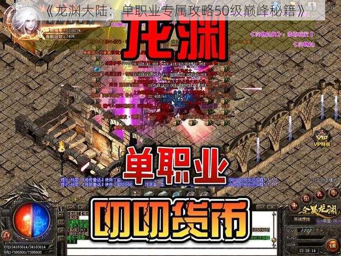 《龙渊大陆：单职业专属攻略50级巅峰秘籍》