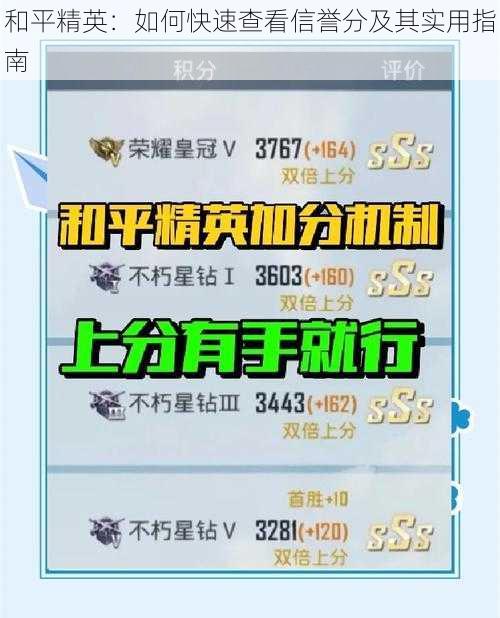 和平精英：如何快速查看信誉分及其实用指南