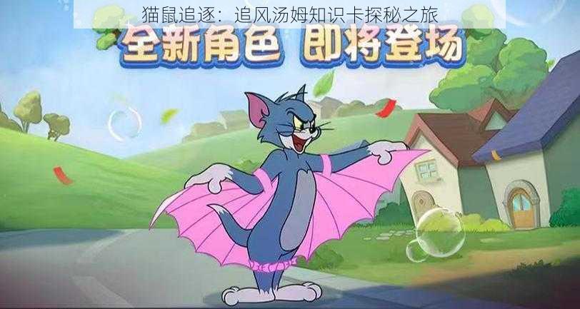 猫鼠追逐：追风汤姆知识卡探秘之旅