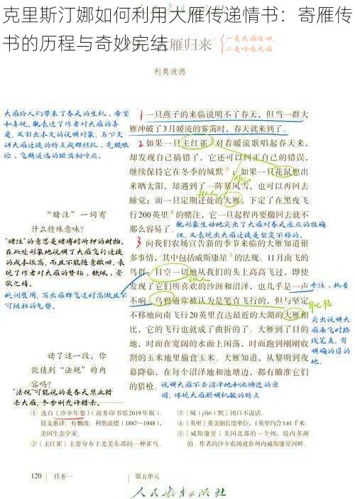 克里斯汀娜如何利用大雁传递情书：寄雁传书的历程与奇妙完结