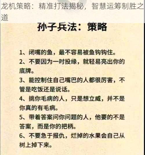 龙机策略：精准打法揭秘，智慧运筹制胜之道