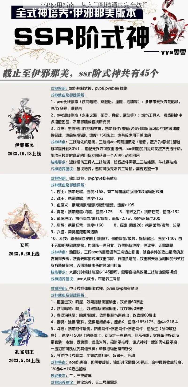 SSR使用指南：从入门到精通的完全教程