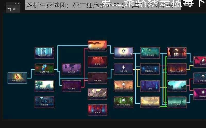 解析生死谜团：死亡细胞地图的变化与生命科学探秘