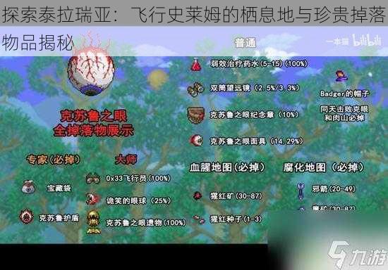 探索泰拉瑞亚：飞行史莱姆的栖息地与珍贵掉落物品揭秘