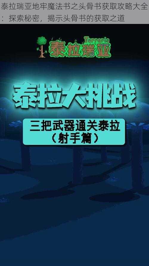 泰拉瑞亚地牢魔法书之头骨书获取攻略大全：探索秘密，揭示头骨书的获取之道