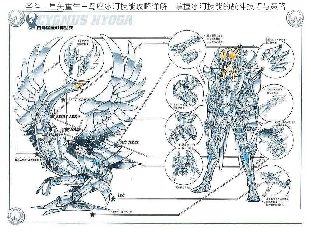 圣斗士星矢重生白鸟座冰河技能攻略详解：掌握冰河技能的战斗技巧与策略