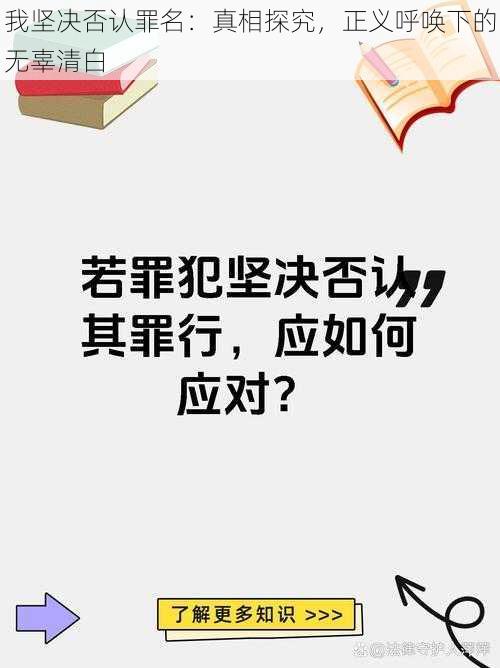 我坚决否认罪名：真相探究，正义呼唤下的无辜清白