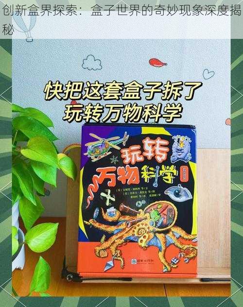 创新盒界探索：盒子世界的奇妙现象深度揭秘